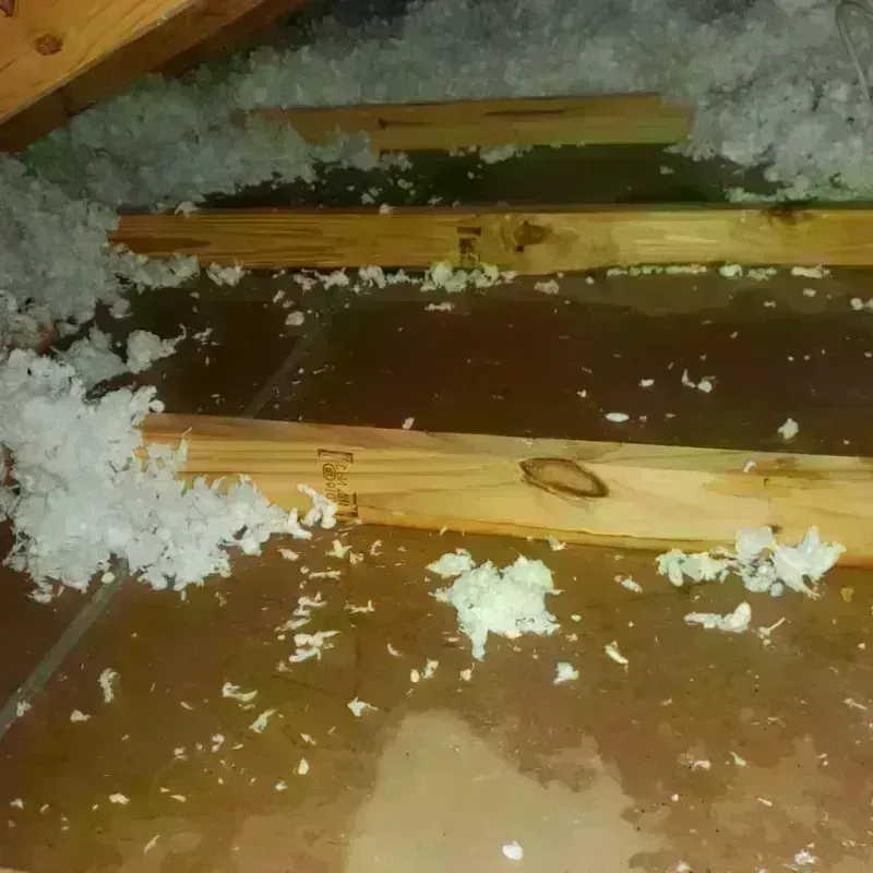 Attic Water Damage in Morovis, PR